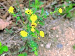 -沈阳辉山风景区