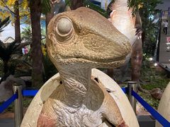 -湖南省地质博物馆