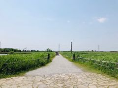 -宁波杭州湾国家湿地公园