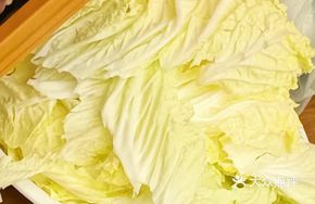 Tangshan Napa Cabbage