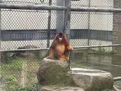 -上方山森林动物世界