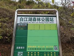 -广州白江湖森林公园