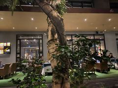 -T館·花园艺术餐厅
