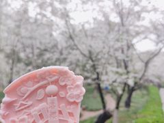-武汉大学-樱园