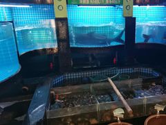 -千岛湖小鱼儿·淳安匠心农家菜