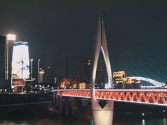 -石灰市毛记烧鸡公(解放碑店)