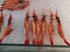 -半岛听涛蒸汽海鲜自助(K11店)
