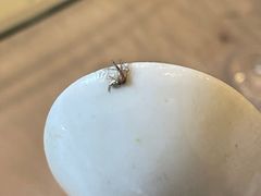 -不倒翁·徽天下名菜楼(马鞍山路店)