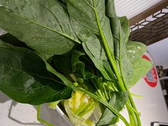 -新辣道鱼火锅(西直门店)