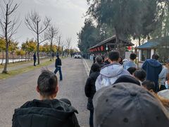 -漩门湾国家湿地公园