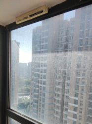 -卡洛儿高端儿童摄影(郑东新区店)