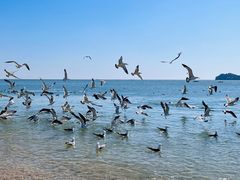 -银沙滩浴场