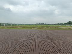 -盐城丹顶鹤湿地生态旅游区