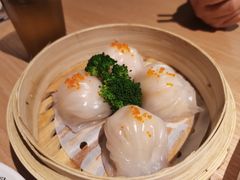 -南枝记