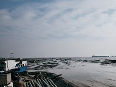 -平湖九龙山庄园圣马可酒店