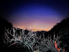 -泰山风景名胜区