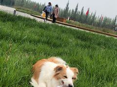 -怀来官厅水库