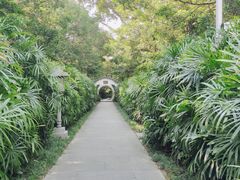 -广州兰圃