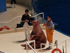 -泉城欧乐堡海洋极地世界