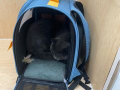 -美联众合动物医院·24h京西诊疗中心