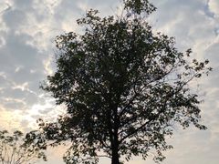 -盘龙城国家考古遗址公园