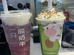 -一只酸奶牛(八一路店)