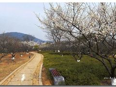 -超山青莲寺