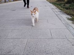 -敦煌市博物馆