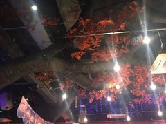 -令狐冲·炭烤活鱼(宝龙店)