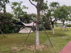 -春花秋色城市公园