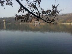 -紫霞湖公园