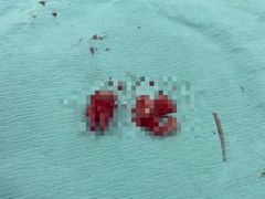 -南方医科大学口腔医院(番禺院区)