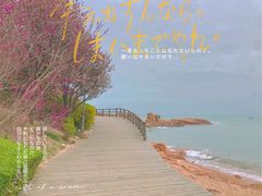 -八大关景区