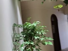 -汤臣海派理疗公馆