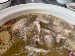 -鸽鸟轩(石岐店)