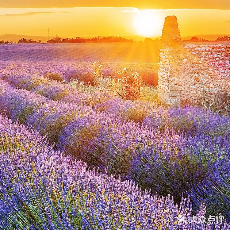 我们在两个城市度过的，西安&成都 认识你的第149天