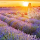 我们在两个城市度过的,西安&成都 认识你的第149天