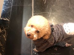 -边渡咖啡烘焙店(昙华林店)
