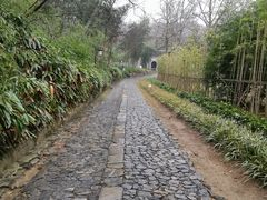 -镇江市南山风景名胜区竹林景区