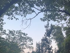 -大蜀山国家森林公园