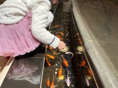 -安徽饭店·白鹭阁自助餐厅(梅山路店)