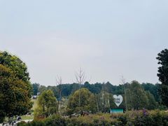 -铁山坪森林公园