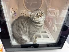 -FAELING PETS美天灵宠物(富力广场店)