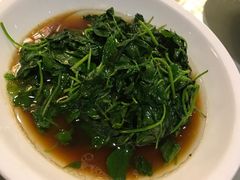 -新聚丰菜馆(太监弄店)