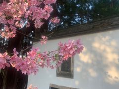 -乌山风景区