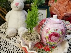 -Jo's Garden