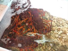 -福升海鲜洒楼