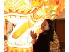-禧宴Joyous Restaurant(禧园店)