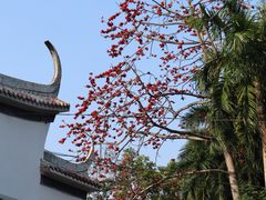 -南宁南湖公园