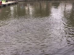 酷鱼垂钓CLUB-酷鱼垂钓CLUB(朝阳区博大路店 )